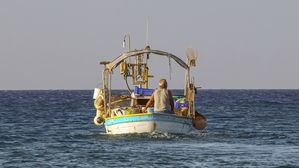 [인-잇] 노인과 바다, 산티아고의 노력