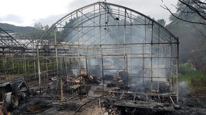 경북 군위 식물원에 불&hellip;여성 한 명 사망