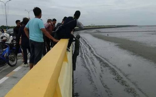 [Pick] 죽은 아내가 준 '줄자' 찾기 위해 목숨 걸고 다리에서 뛰어내린 남성 (사진=ThaiRescueNews 페이스북 캡처)