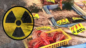 선수촌 입성 노리는 후쿠시마산&hellip;日 올림픽담당상 "안전" 주장