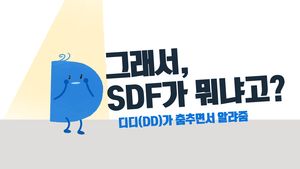[궁금한D] '그런데 SDF가 뭐냐고요?'&hellip;디디가 알려드립니다