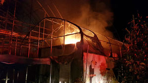 전남 동식물 체험관 화재&hellip;조류&middot;파충류 2천 5백여 마리 죽어