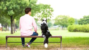 [인-잇] 유난 떨지 말라고요? '펫로스 증후군'에 대한 오해