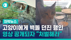 고양이에게 벽돌 던진 행인&hellip;영상 공개되자 "처벌해라"