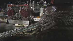 태풍 '링링' 초속 40미터 강풍&hellip;어선 2만 7천여 척 대피