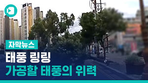 강풍 불자 힘없이 쓰러진 가로수&hellip;지붕 &middot; 외벽도 와르르