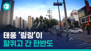 태풍 '링링'이 할퀴고 간 한반도&hellip;3명 숨지고 10여 명 다쳐