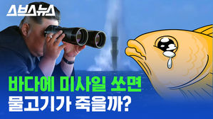 바다에 미사일 시험 발사…물고기 죽을까, 안 죽을까?