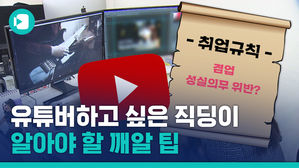 직장인 겸업, 어디까지 가능함? 비머가 알아봄 (feat. 유튜버)