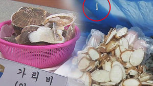 견과류선 애벌레, 일본산은 국산&hellip;부정불량식품 대거 적발