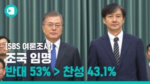[2019 한가위 특집 SBS 여론조사] 조국 임명...반대 53% 찬성 43.1%