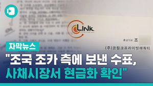 "조국 조카 측에 보낸 수표, 사채시장서 현금화 확인"