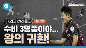알고도 못 막는다! 주세종 전역 축포! K리그 28라운드 골 모음