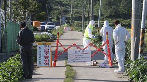 "아프리카돼지열병, 사람에 감염 안 돼&hellip;불안해할 필요 없어"