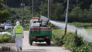 돼지열병에 9.19 1주년 행사도 '고심'&hellip;"점검 중"