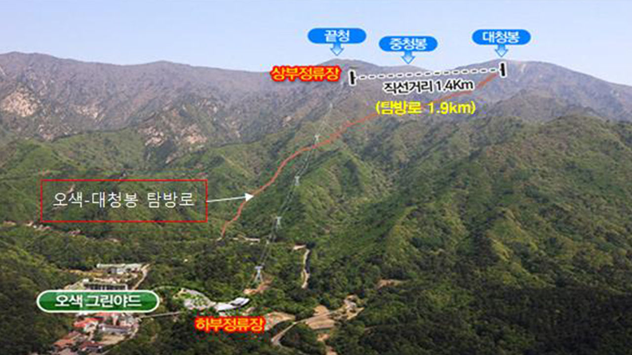 [취재파일] 산양이 지킨 설악산…케이블카사업 '백지화'