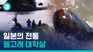 다시 시작된 일본 돌고래 대학살
