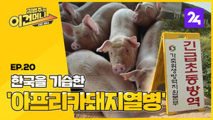 [이건머니] 한국을 기습한 '아프리카돼지열병' ep.20