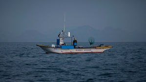 美, 한국 '예비 불법 어업국' 지정&hellip;남극 불법어업이 단초