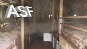 '연천 인접' 강원도 비상인데&hellip;일부 지역 '방역 허술 대응'