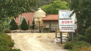 '돼지열병 의심' 파주 농가 2곳 '음성'&hellip;앞으로 3주 고비