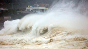 올해 한국 태풍 빈도 7회&hellip;관측 이래 1959년과 '공동 1위'