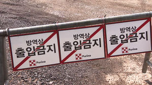 경기 김포 돼지열병 의심 신고&hellip;바로 옆 인천시 초긴장