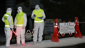 김포서 3번째 돼지열병 확진 판정&hellip;방역당국은 '비상'