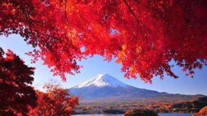 국경절 연휴 中 관광객 8억 명 대이동&hellip;해외 인기 여행지 1위는 일본