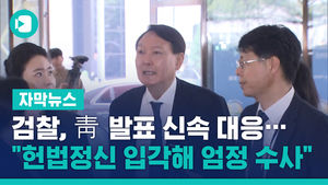 검찰, 靑 발표 신속 대응&hellip;"헌법정신 입각해 엄정 수사"