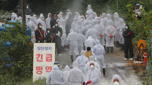 파주 한 양돈농가에서 살처분 작업을 준비하고 있는 방역당국 (사진=연합뉴스)