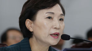 "분양가 상한제 적용 지역, 10월 말 시행령 개정되면 곧바로 지정"