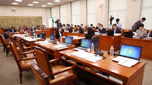 與, 문체위 국감서 한국당 퇴장하자 나경원 '정조준'