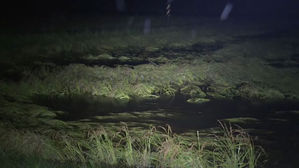 벼 수확 코앞인데&hellip;태풍 떠난 광주&middot;전남, 곳곳엔 생채기만