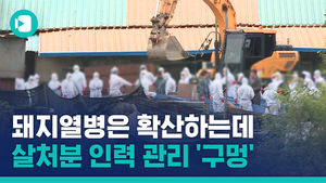 돼지열병은 확산하는데&hellip;살처분 인력 관리는 '구멍'