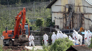 '돼지 살처분' 강화군 돼지 전멸&hellip;애완용 돼지 1마리만 남아