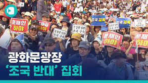 광화문광장서 '조국 반대' 집회