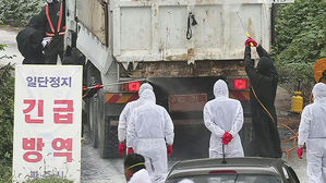 정부, '돼지열병' 파주 &middot; 김포 일대 모든 돼지 없앤다