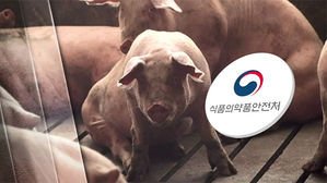 수입 돈육포서 돼지열병 유전자 검출&hellip;생존 여부 검사