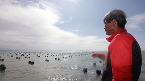 태풍 '미탁'에 전남 김 양식시설 쑥대밭&hellip;전체 26% 파손