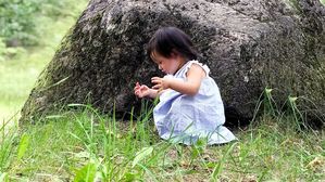 [인-잇] 덴마크에선 가르치고 한국에선 안 가르치는 것