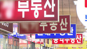 "강남4구 등 집값 급등지역, 공인중개사 위법행위도 많았다"