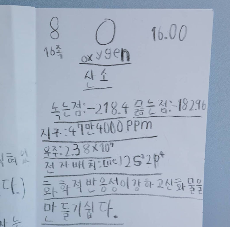 The Song Triplets Write Their Very Own Books