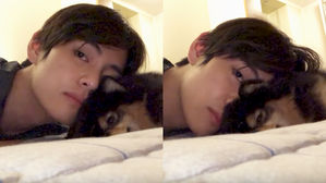 [SBS Star] VIDEO: ARMY Get Attacked by BTS V & Yeontan's Cute Moments