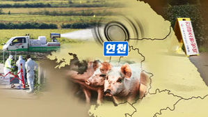 '돼지열병' 연천서 추가 발병&hellip;"완충지대로 남하 저지"