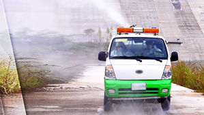 돼지열병 감염 야생멧돼지 추가 확인&hellip;강원도 긴급조치