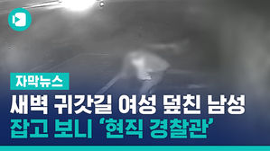 새벽 귀갓길 여성 덮친 남성, 잡고 보니 '현직 경찰관'