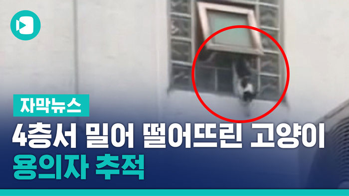 4층서 일부러 밀어 떨어뜨린 고양이&hellip;용의자 추적