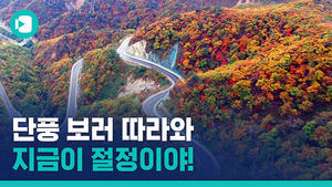 '가을에는 사랑하게 하소서'&hellip;단풍으로 물든 설악산 풍경