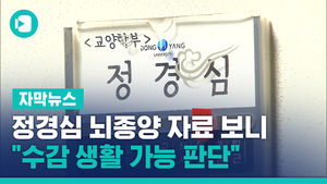 정경심 뇌종양 자료 받아본 檢 "수감 생활 가능 판단"